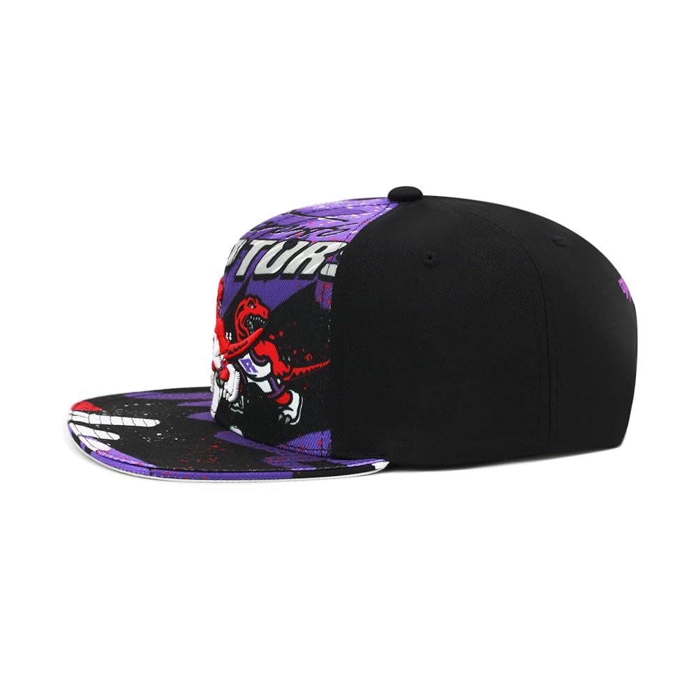 Amazon.com: Mitchell & Ness Toronto Raptors NBA Hyper Loops
